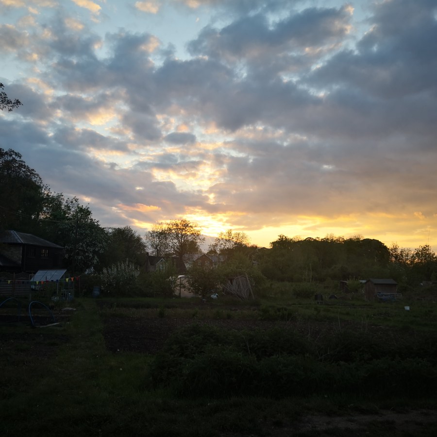 IPSWICH’S GOLDEN HOUR