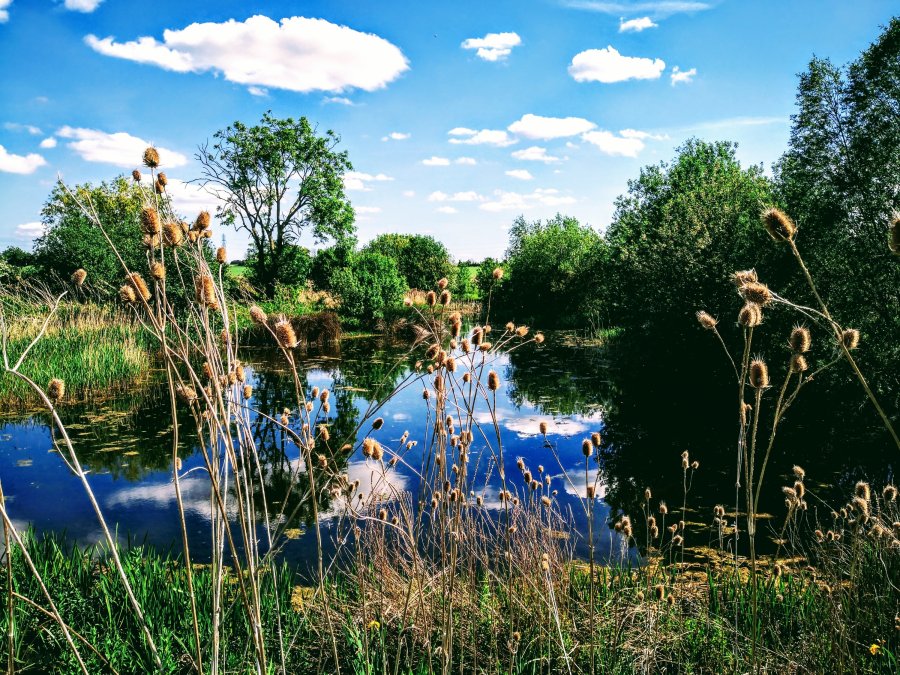 GETTING TO THE HEART OF&nbsp;PAPWORTH