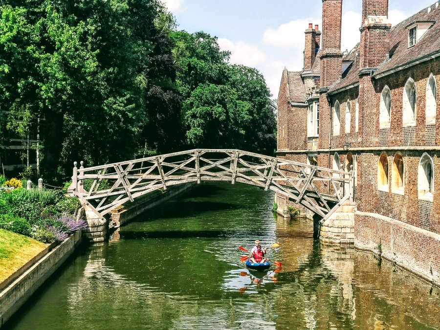 COLD BLOODED IN&nbsp;CAMBRIDGE