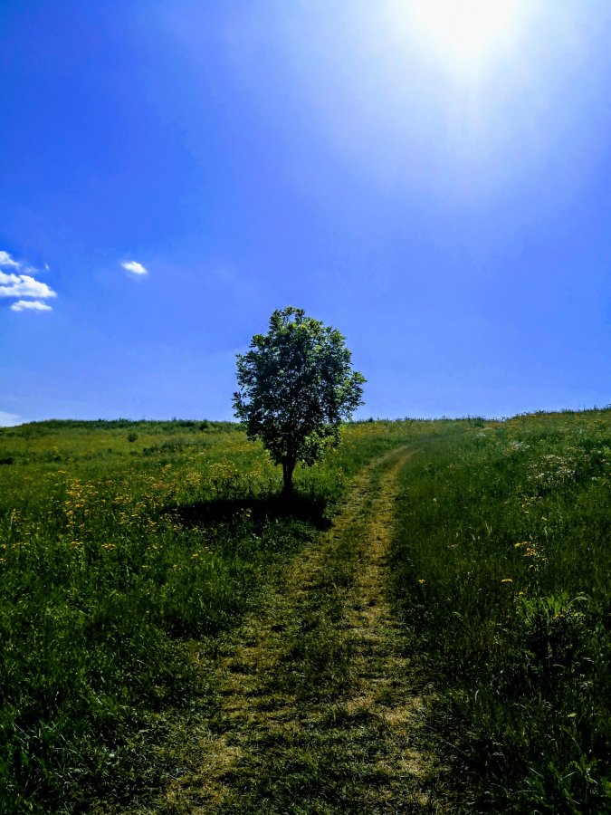 THE CAMBOURNE IDENTITY