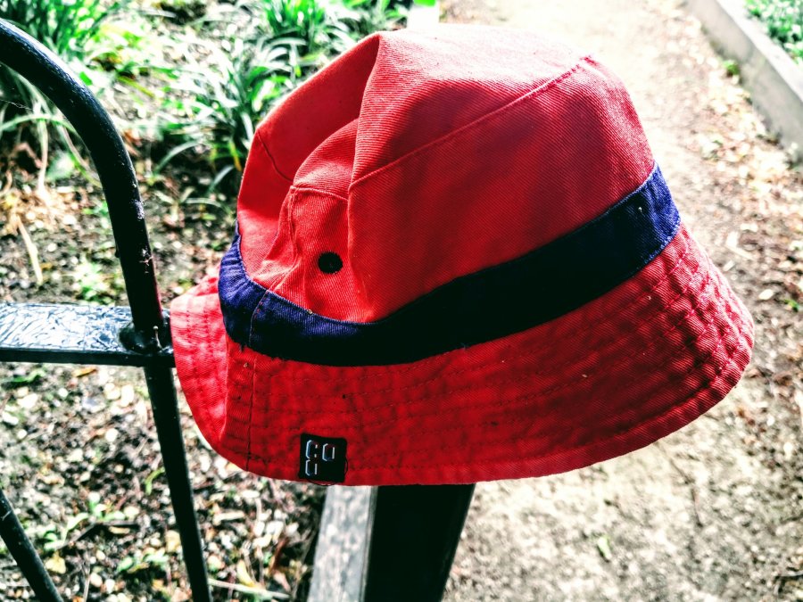 “I went to Linton Zoo and all I came back with was a photo of a&nbsp;duck”