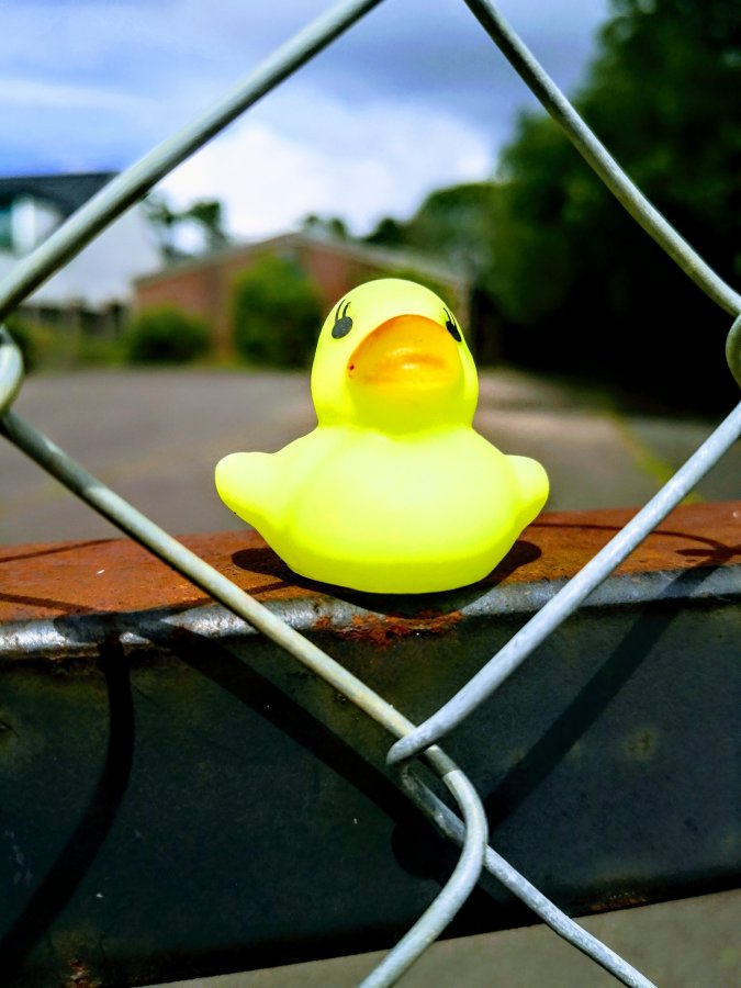 CHRISTINE (WOULDN’T COME WITH ME TO)&nbsp;BRINKLEY