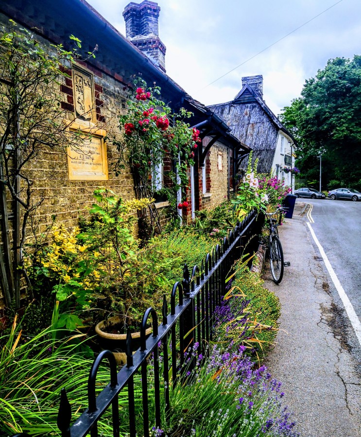 FEN DITTON’S BUMPY&nbsp;RIDE