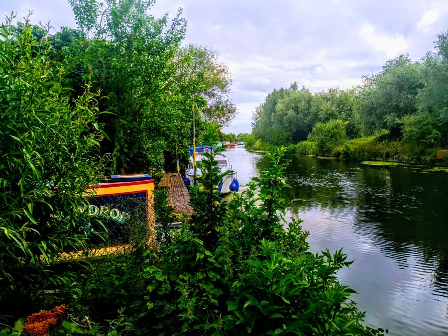 PLENTY TO SEE IN&nbsp;HORNINGSEA