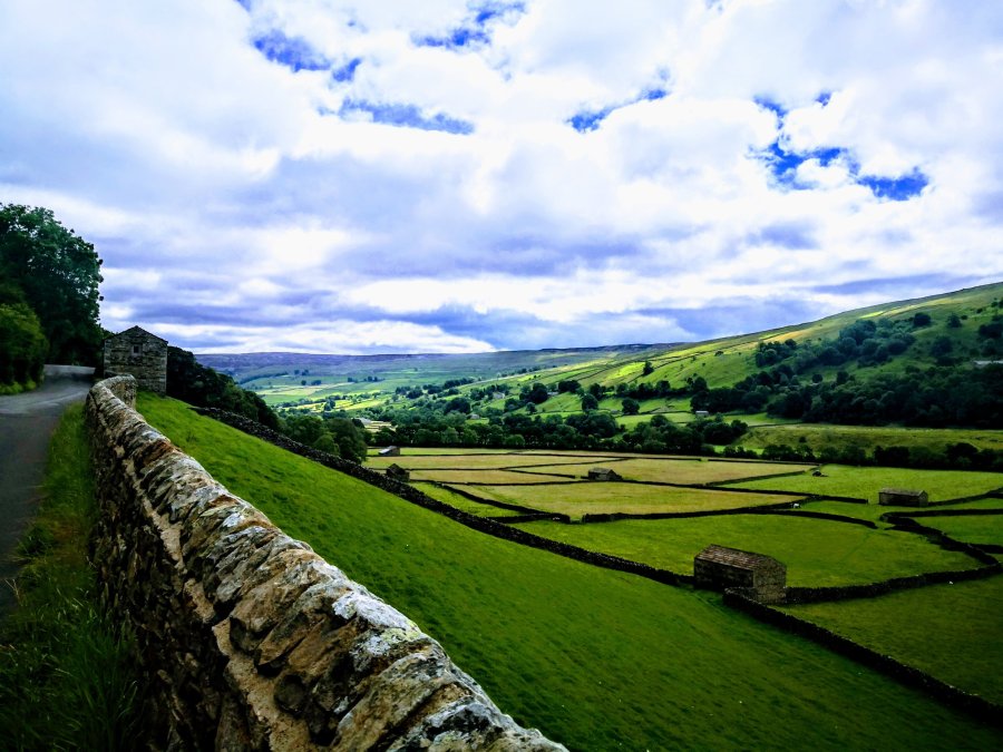 BUTTER TUBS-THUMPING