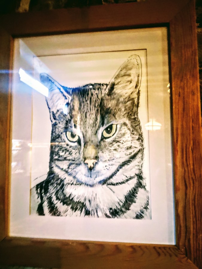 GEORGIE THE DEVON PUB CAT ESCAPES FROM THE&nbsp;FRIDGE