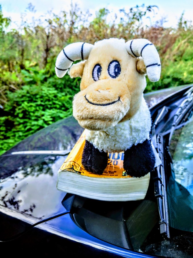 THE ROAD TO LULWORTH&nbsp;COVE