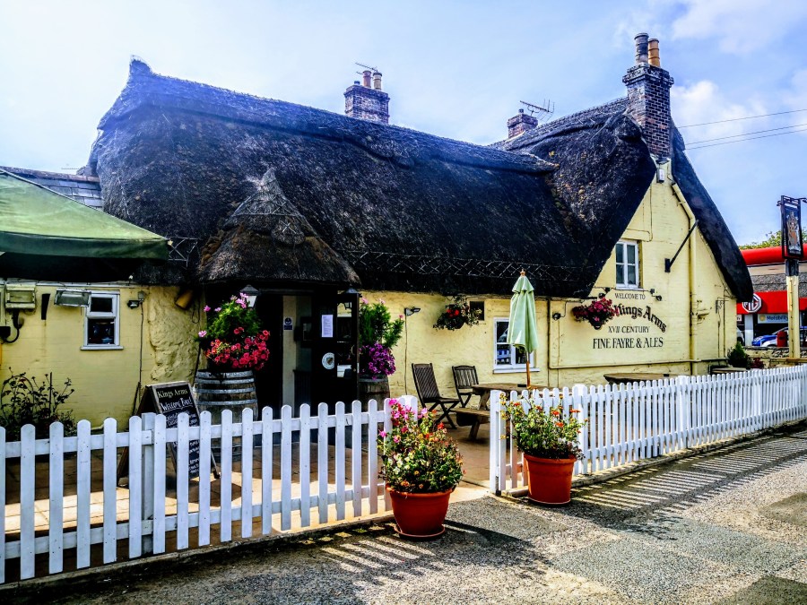 LESSONS IN WHAT’S SOCIALLY ACCEPTABLE, IN&nbsp;WAREHAM