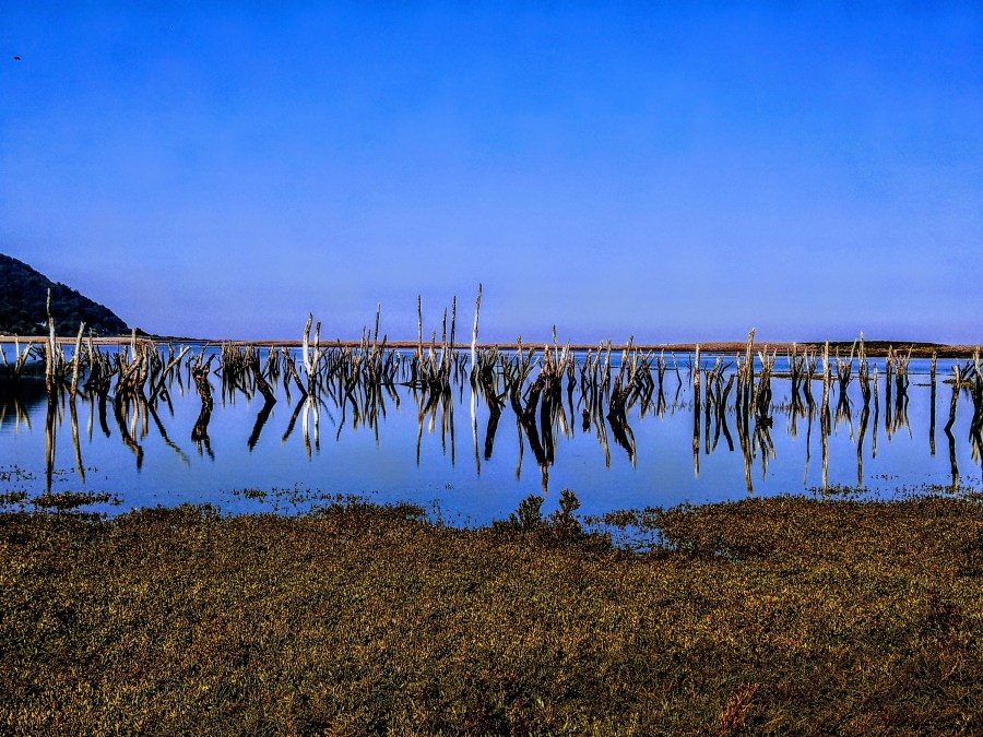 GOOD CHEER IN PORLOCK&nbsp;WEIR