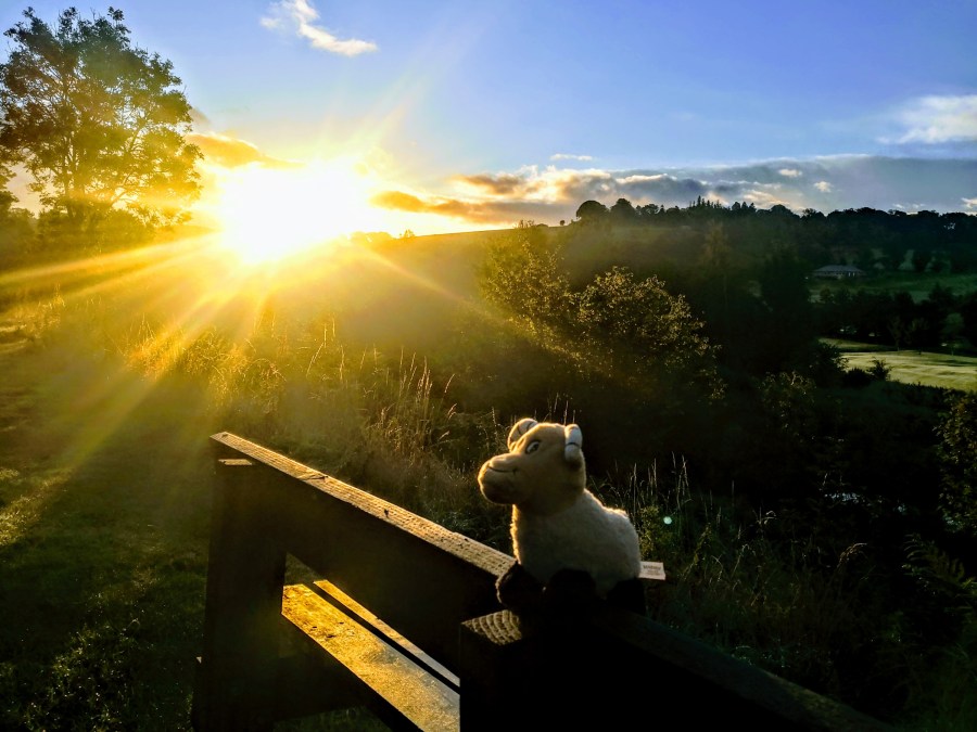 WOOLER, WOOLER, WOOLER, UH, TELL ME&nbsp;MORE