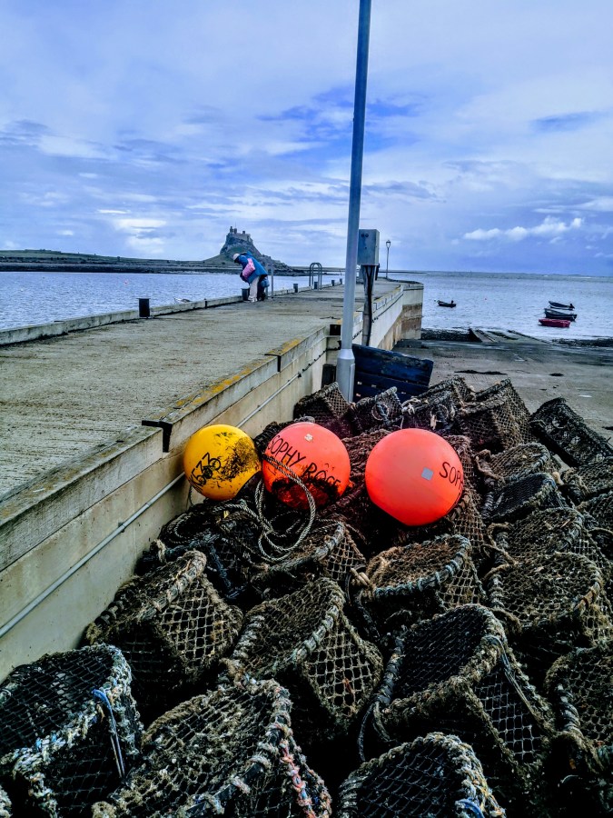 FISHING FOR HOLY ISLAND&nbsp;TICKS