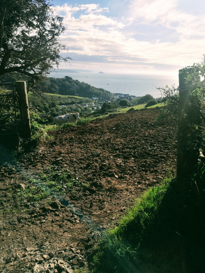 MRS RM TAKES THE CROWN IN&nbsp;KINGSAND