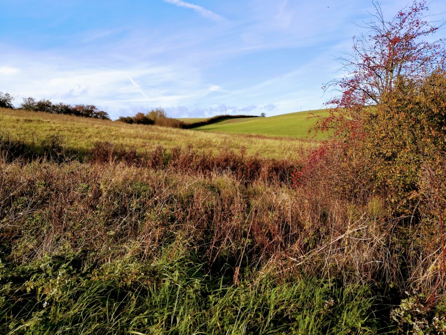 UTTER MADNESS IN&nbsp;SAWTRY