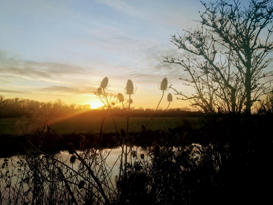 A GOLDEN DAY DAWNS IN&nbsp;ALWALTON