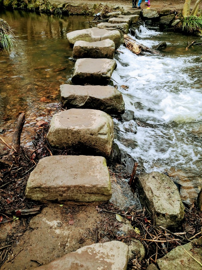 STEPPING STONES
