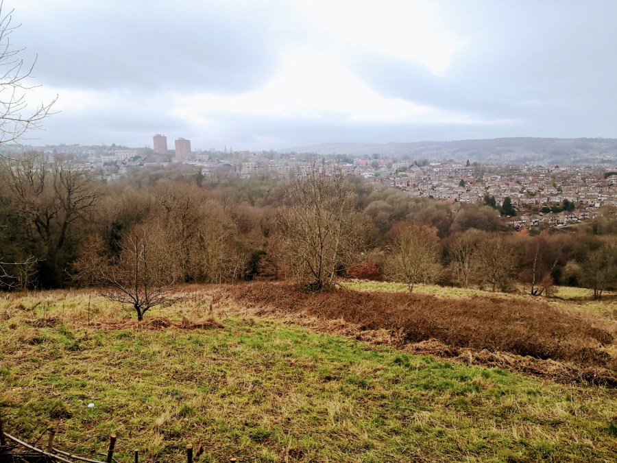 A STUMBLE IN&nbsp;STANNINGTON