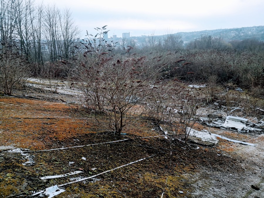 UP THE SKI&nbsp;SLOPE