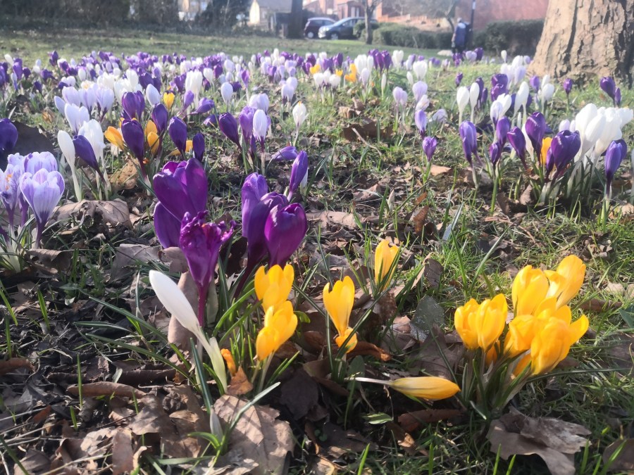 WINTER, IT IS&nbsp;PAST