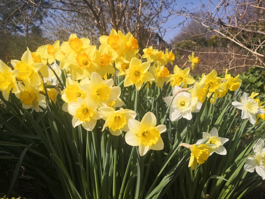 CALVER – SOUGH WHAT&nbsp;?