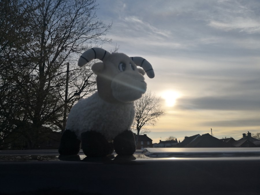 Declaring on 19&nbsp;(pubs)