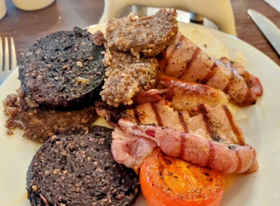 ALL HAGGIS, NO&nbsp;DOLPHINS