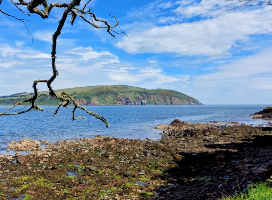 “And send them home, tae think&nbsp;again”