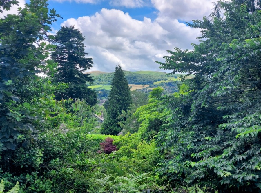 UP AND DOWN THE LONG&nbsp;MYND