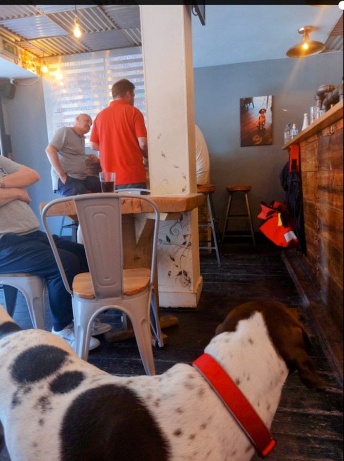 WATERLOO, HOW MANY BLOG POSTS CAN I GET OUT OF YOU&nbsp;?