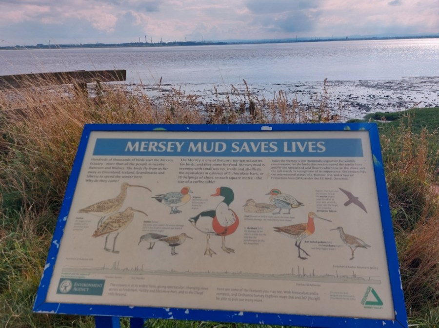 “BELOW US ONLY&nbsp;MUD”