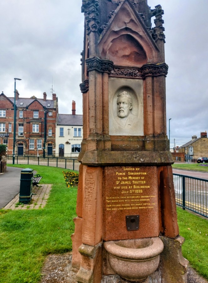 A BEDLINGTON TERRIER
