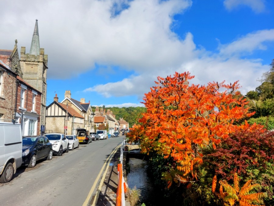 A POSTCARD FROM THORNTON-LE-DALE