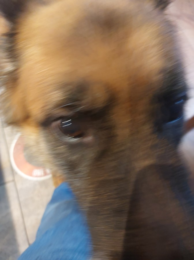 DUCKING INTO DUKINFIELD