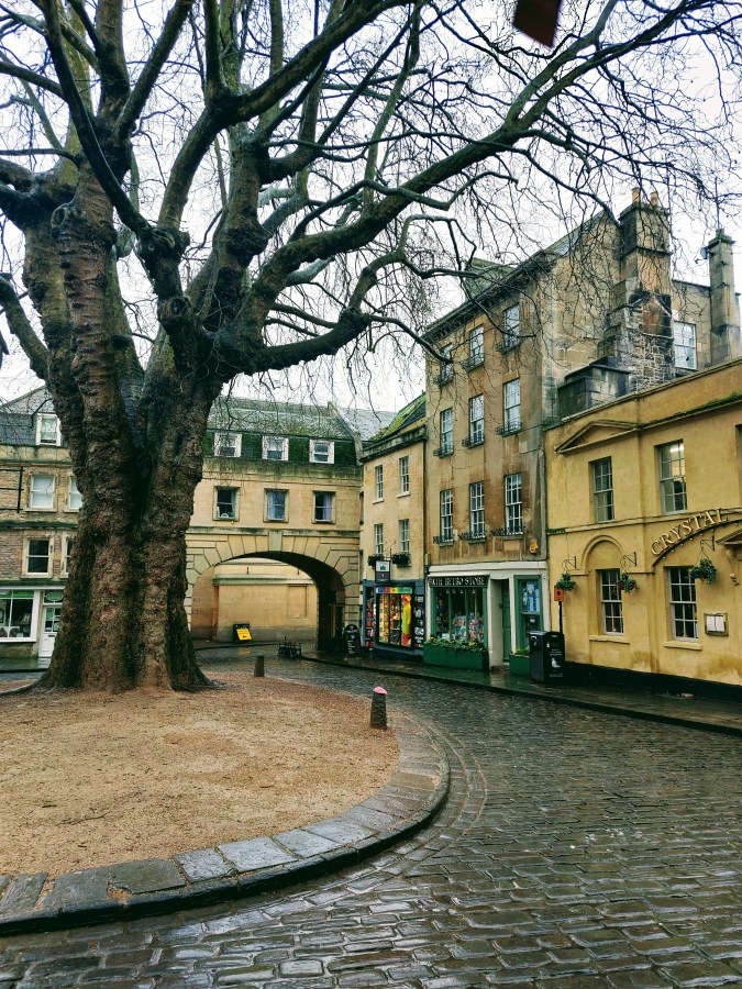 AN EARLY BATH&nbsp;(TICK)