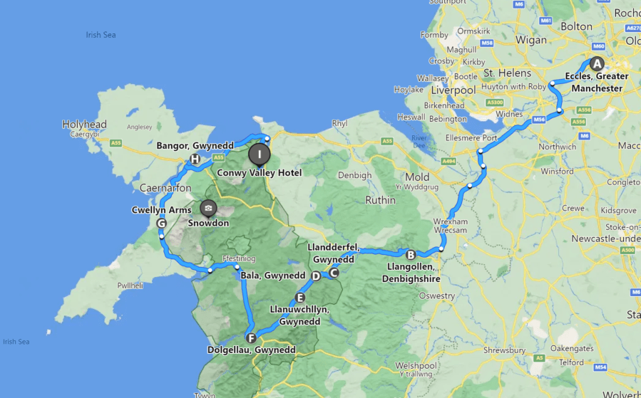 A TYPICAL TICK IN&nbsp;LLANUWCHLLYN