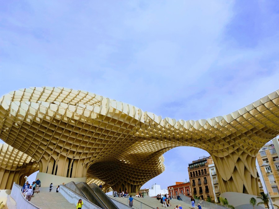 THE MUSHROOMS OF&nbsp;SEVILLE