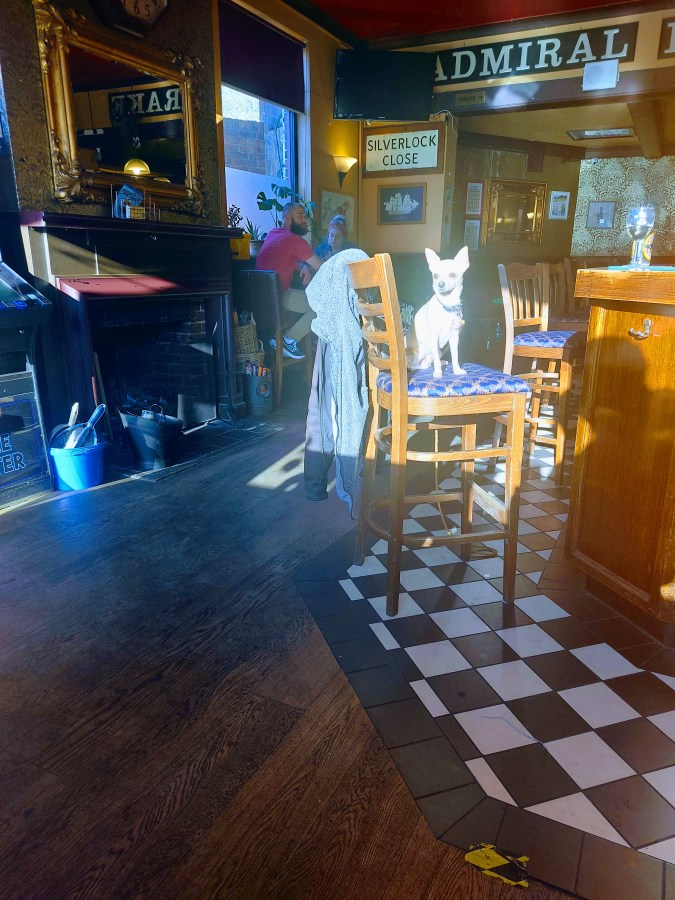 PORTSMOUTH, YOU SEXY&nbsp;M.F.