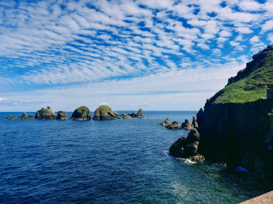 SARK, STRANGENESS AND&nbsp;CHARM