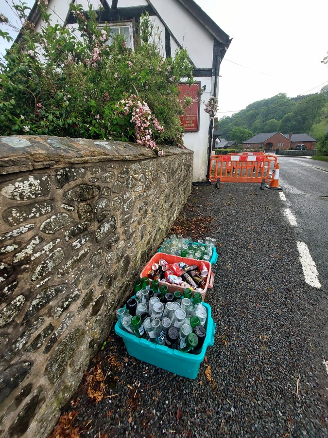 WAITING FOR THE BEEHIVE TO POSSIBLY&nbsp;OPEN