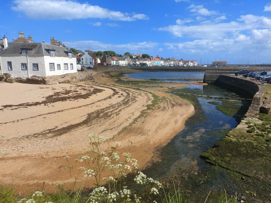 ANGRY MAN AGITATED AT ANSTRUTHER CHICKEN&nbsp;SLICES