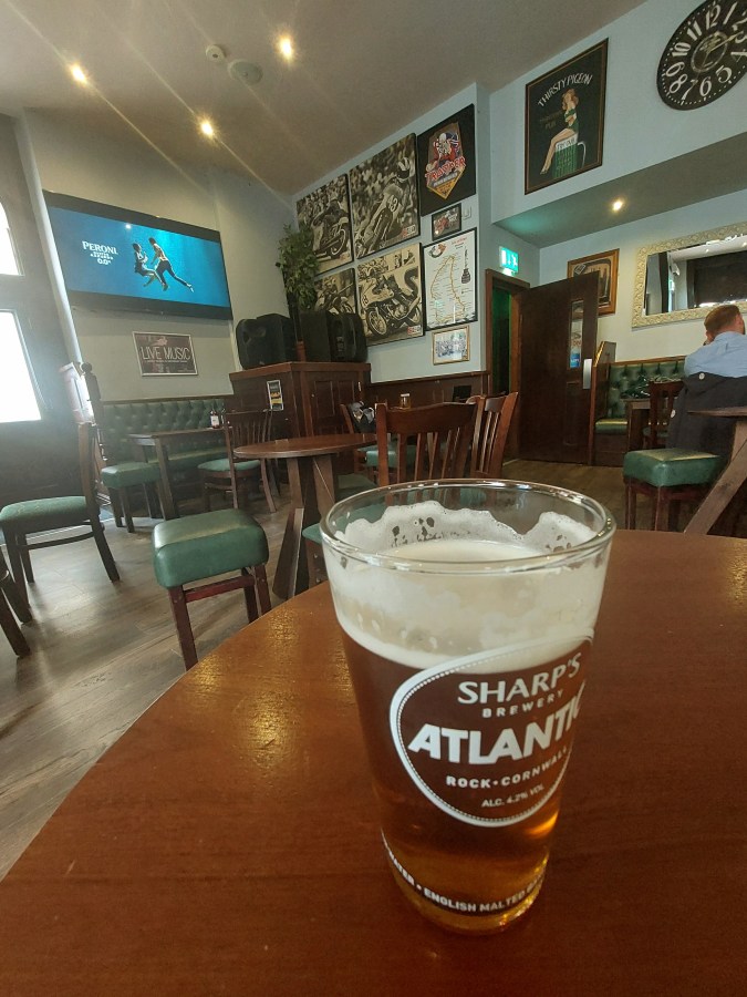 THIRSTY PIGEON (CHA CHA&nbsp;CHA)