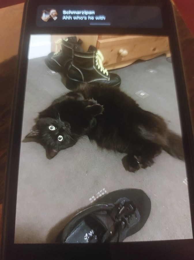 A DOZEN (GBG) ROSES & A SIX-PACK (OF IPA) – THE TICKING OF&nbsp;STRATHCARRON