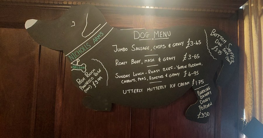 DON’T BE COY ABOUT&nbsp;COYTRAHEN