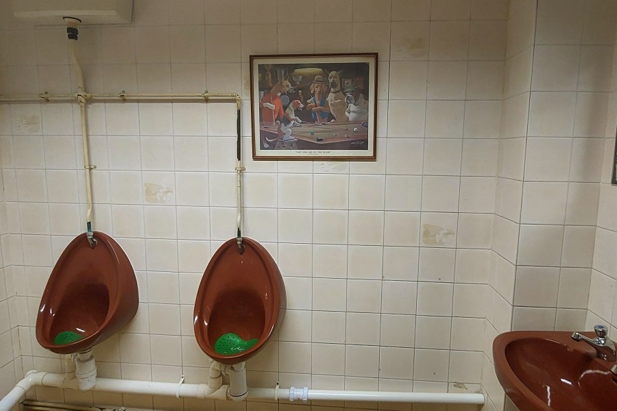 PLANT POTS AND&nbsp;TRACTORS