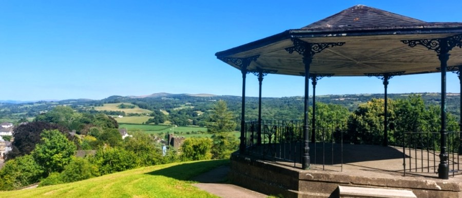 EVERYTHING’S GONE GREEN – LLANDEILO&nbsp;LICKED