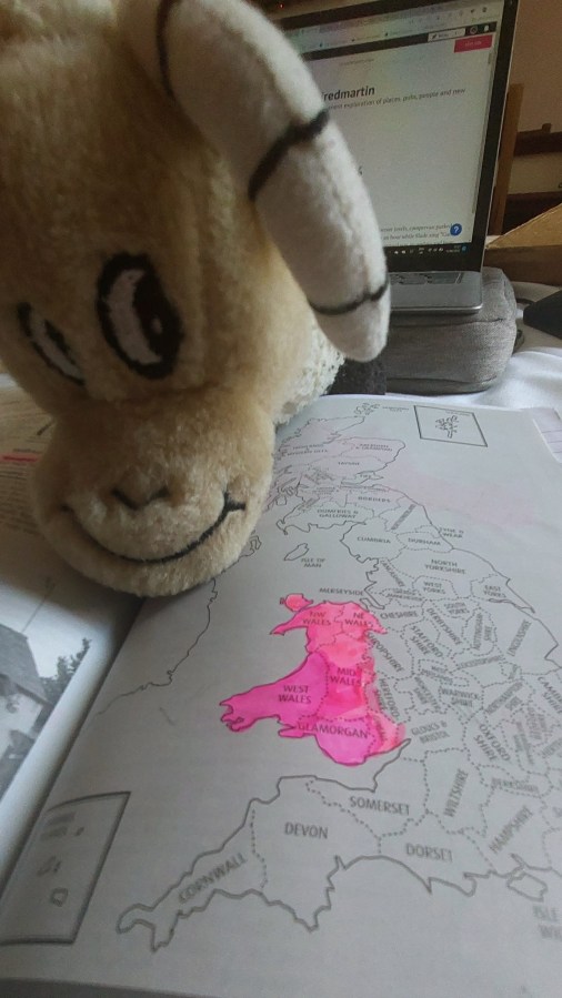 MY PLANS FOR WELSH GBG DOMINATION COME TO RUINS IN&nbsp;NARBERTH