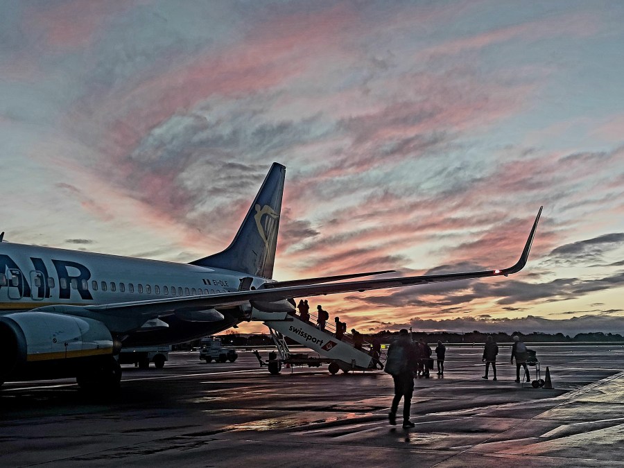 IN SEARCH OF&nbsp;KOLSCH