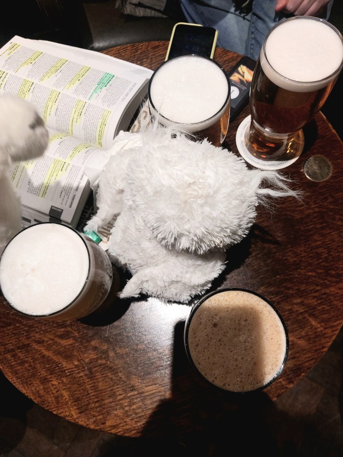 LOOK WHO’S COME TO THE BLIND MONKEY&nbsp;!