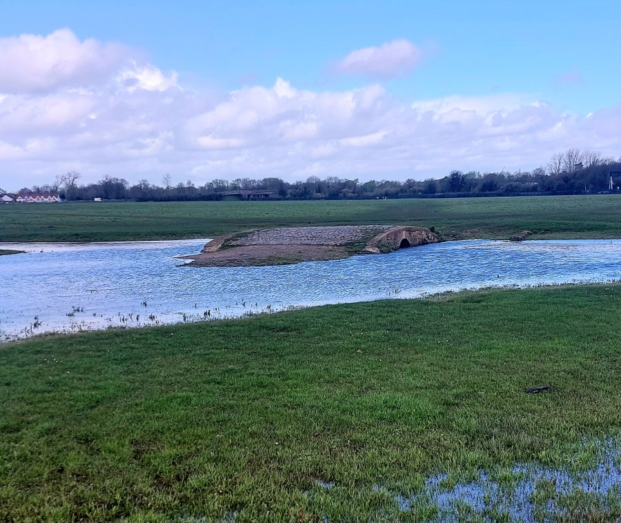 SPURIOUS THOMAS HARDY REFERENCES AND A DRENCHING IN NORTH&nbsp;OXFORD