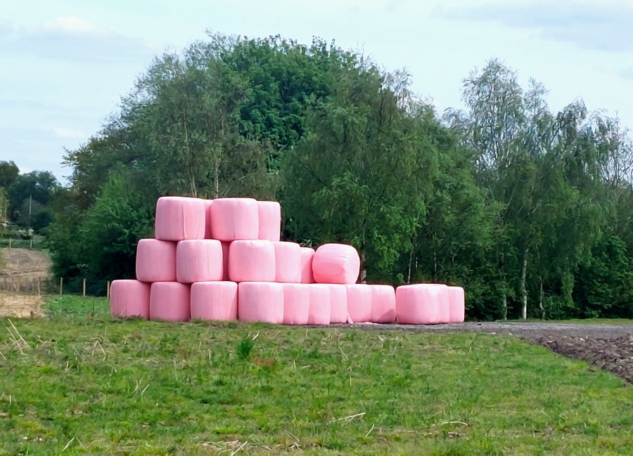 LOWTON ADDS YET ANOTHER CLASSIC BOOZER TO&nbsp;GBG23