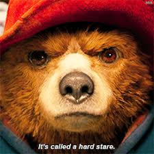 A PADDINGTON BEAR STARE FOR THE TIRED BEER IN&nbsp;W2